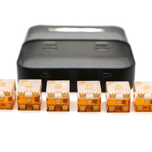 Load image into Gallery viewer, Pale Ale Six Pack