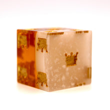 Load image into Gallery viewer, Paladin's Pale Ale Pip D6