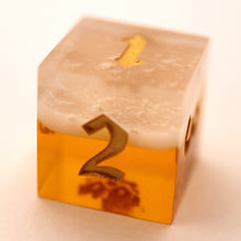 Load image into Gallery viewer, Paladin's Pale Ale D6